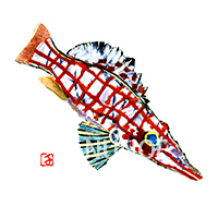 魚布絵 トップ18イメージ クダゴンベ